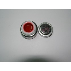 Gel color Evershine 5g #69